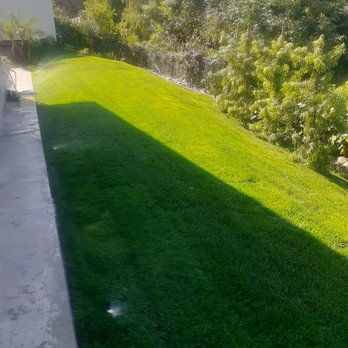 Superior Quality Landscaping - Irrigation system installation with automatic timer .Sod installation and trees installed for privacy screen. - Landscaping Near Me Superior Quality Landscaping - Irrigation system installation with automatic timer .Sod installation and trees installed for privacy screen. - Landscaping Near Me