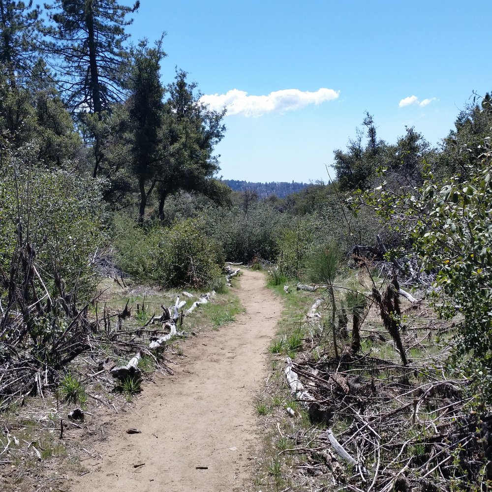 Palomar Mountain-Observatory Trail - Observatories Near Me