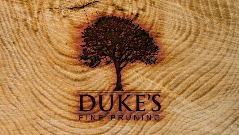 Dukes Fine Pruning - tree service in Victor, MT