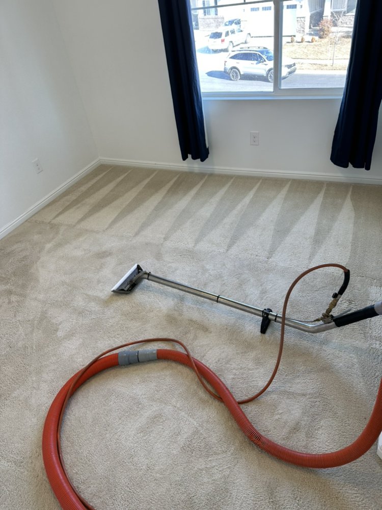 EAGLE CARPET CARE 66 Photos & 73 Reviews 6828 W. 4TH St, Riolinda