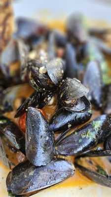 Cafe Blue at Hill Country Galleria by null