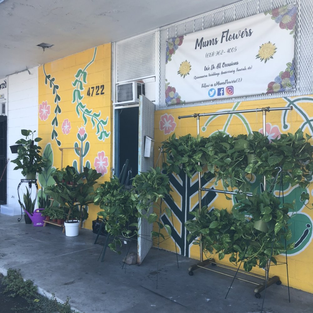 MUMS FLOWERS San Diego, California 40 Photos Florists Phone Number Yelp
