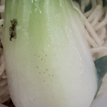 JINYA Ramen Bar - Eastvale - Ramen Near Me - Eastvale, California