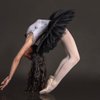 Virginia Ballet Company & School gift card