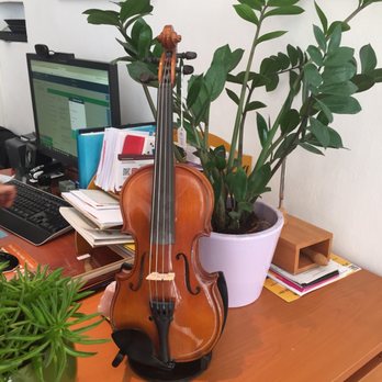 Blue Danube Violins - Musical Instruments & Teachers Near Me - Vienna, 9
