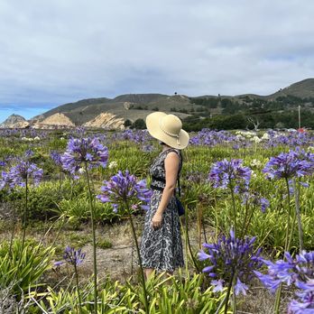 Montara State Beach - Parks Near Me - Montara, California