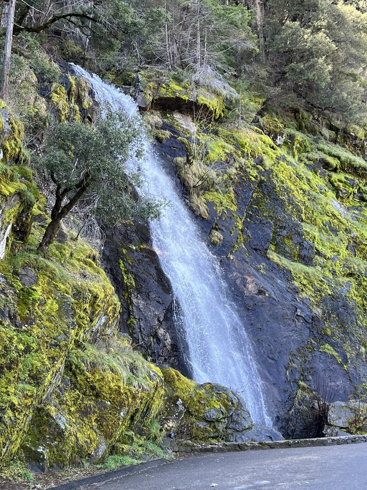 Bridal Veil Falls Logo