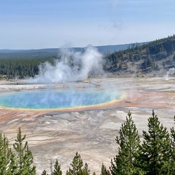 Jackson Hole Wildlife Safaris - Tours Near Me - Jackson, Wyoming