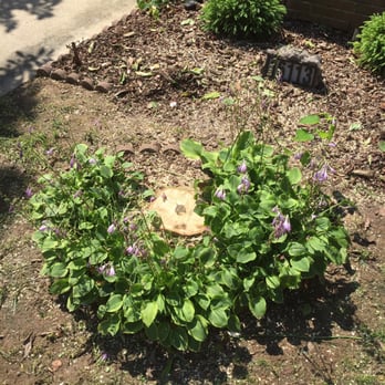 Garcia's Tree Experts - Tree Services Near Me - Bowie, Maryland