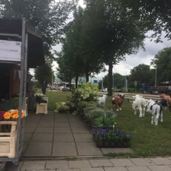 Mokum Bloemenkiosk