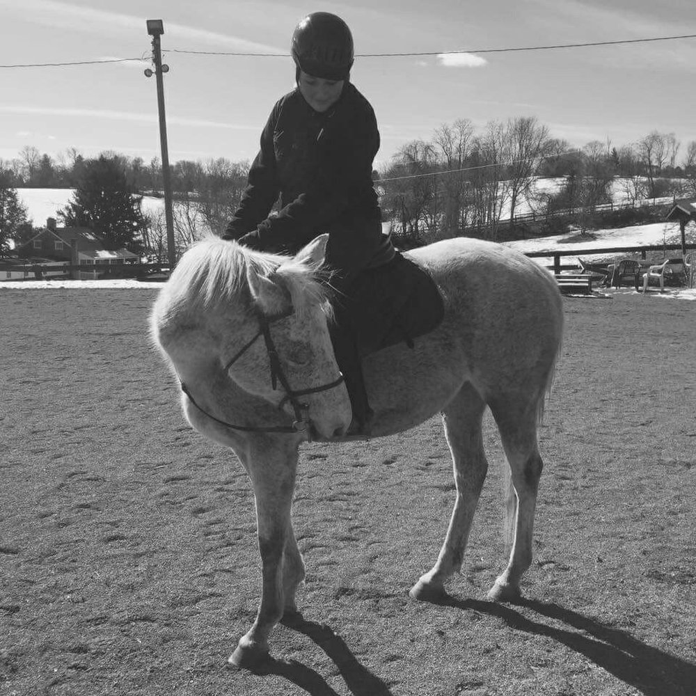 Maintree Farm - Horseback Riding Near Me - Leesburg, Virginia Maintree Farm - Horseback Riding Near Me - Leesburg, Virginia