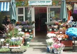 Brighton City Open Market by null