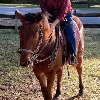 Cactus Jack's Trail Rides - Horseback Riding Near Me - Ocala, Florida