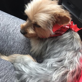 Loving Touch Grooming Salon - Pet Groomers Near Me - Miami, Florida Loving Touch Grooming Salon - Pet Groomers Near Me - Miami, Florida