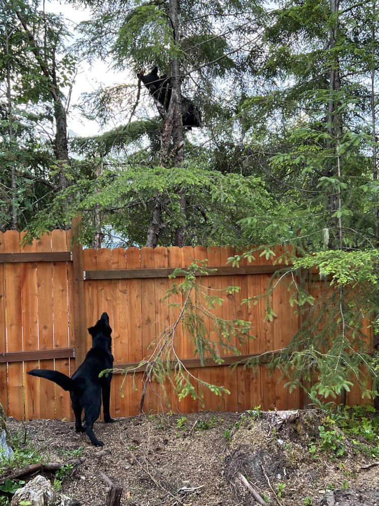 Slide of Storm Front Contractors