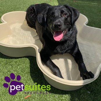 PetSuites Northshore - Pet Boarding Near Me - Covington, Louisiana