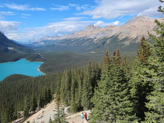Peyto Lake by null