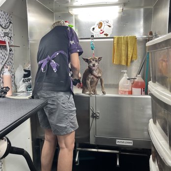 Doggie's Groom Mobile - Our senior pup, Miss Coco is getting pampered to the fullest by Marilou thanks again - Pet Groomers Near Me Doggie's Groom Mobile - Our senior pup, Miss Coco is getting pampered to the fullest by Marilou thanks again - Pet Groomers Near Me