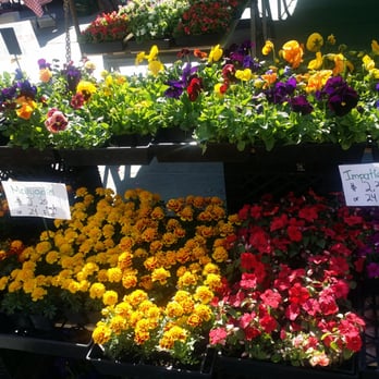 Borough Hall Greenmarket - Gorgeous Flowers! - Farmers Market Near Me - Brooklyn, New York Borough Hall Greenmarket - Gorgeous Flowers! - Farmers Market Near Me - Brooklyn, New York