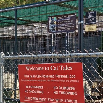 Cat Tales Wildlife Center - Amusement Parks Near Me - Spokane, Washington Cat Tales Wildlife Center - Amusement Parks Near Me - Spokane, Washington