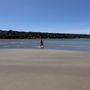 Photo of Barview Jetty Campground