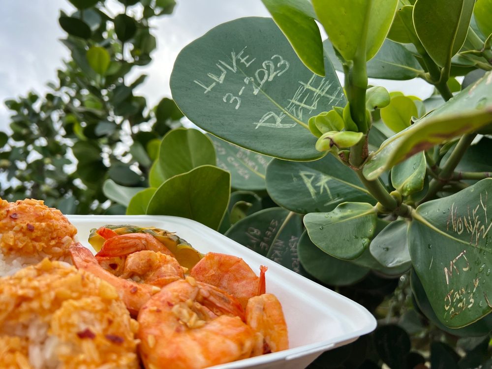 FUMI’S KAHUKU SHRIMP CLOSED 2434 Photos & 1503 Reviews 56777