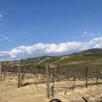 Leoness Cellars - Venues & Event Spaces Near Me - Temecula, California
