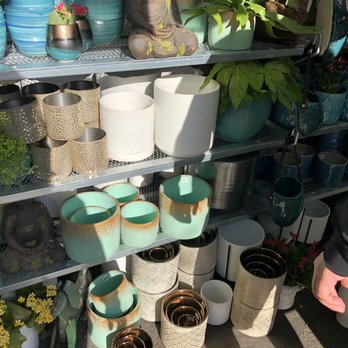 Chase Ace Hardware Garden & Gift - Inside Greenhouse, pottery selection - Hardware Stores Near Me - San Rafael, California