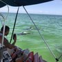 Photo of Pensacola Beach Sailing Tours