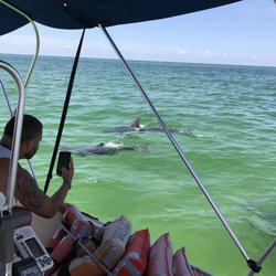 Pensacola Beach Sailing Tours - Mamma and baby dolphins in Pensacola Bay.