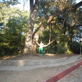 Brackenridge Park - Huge trees - Parks Near Me - San Antonio, Texas