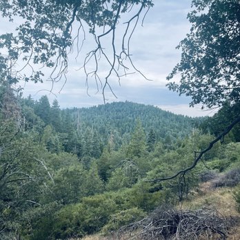Heaps Peak Arboretum - Trail view - Botanical Gardens Near Me - Lake Arrowhead, California Heaps Peak Arboretum - Trail view - Botanical Gardens Near Me - Lake Arrowhead, California