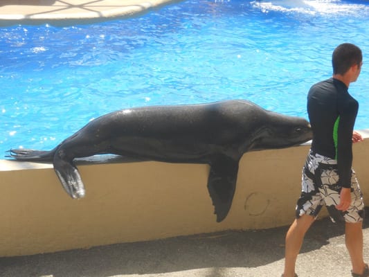 Miami Seaquarium by null