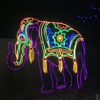 Denver Zoo Lights - Denver Zoo Lights 2016 - Festivals Near Me - Denver, Colorado Denver Zoo Lights - Denver Zoo Lights 2016 - Festivals Near Me - Denver, Colorado