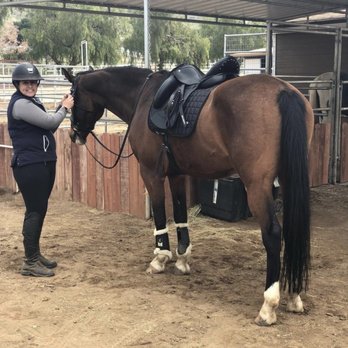 Peikert Performance Horses - Ally and I - Horseback Riding Near Me - Lake Mathews, California
