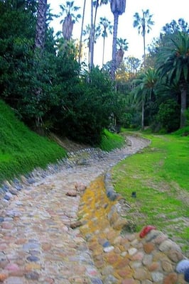 Presidio Park by null