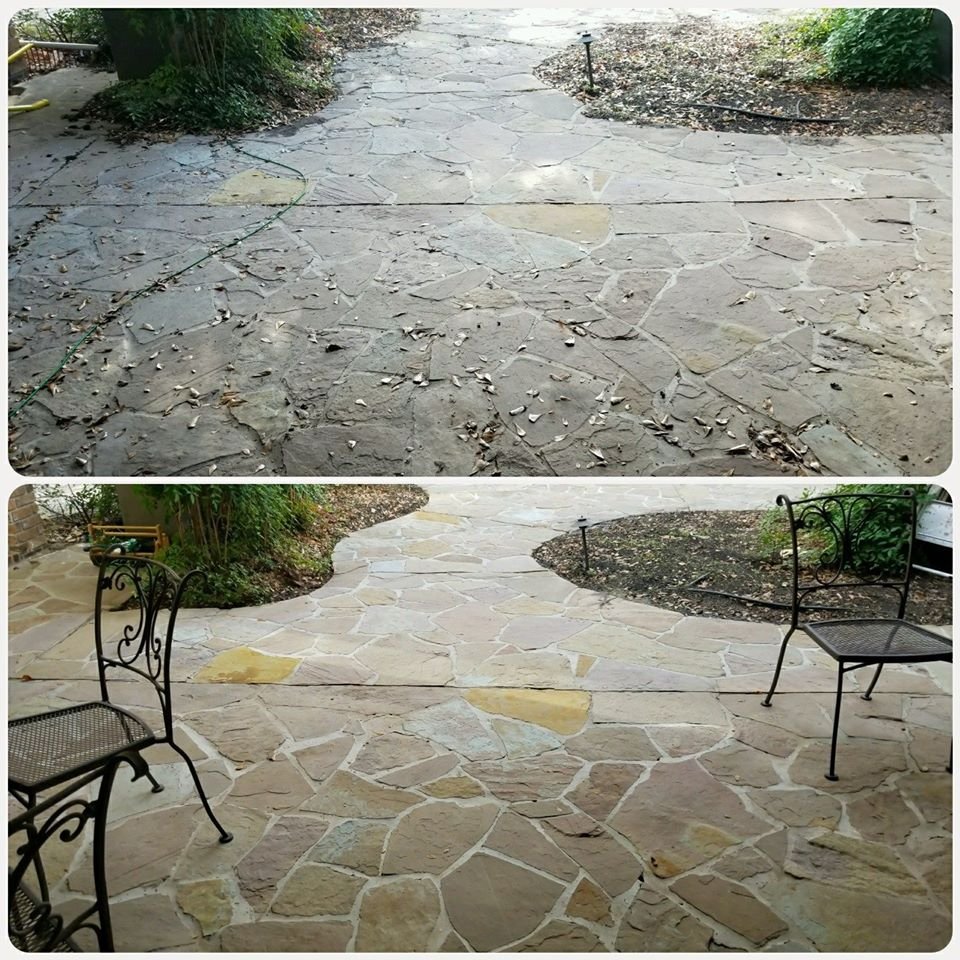 Slide of Wolf's Pro Clean