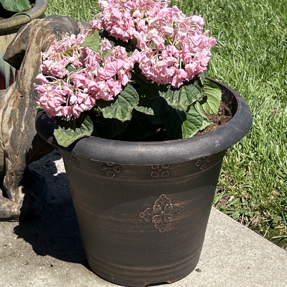 Mt Carmel Il Flower Delivery Best Flower Site