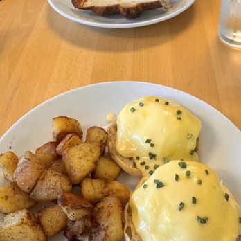 My Sweet Art - Eggs Benedict - French Near Me - Cape Coral, Florida My Sweet Art - Eggs Benedict - French Near Me - Cape Coral, Florida