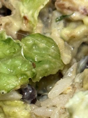 Chipotle Mexican Grill by null