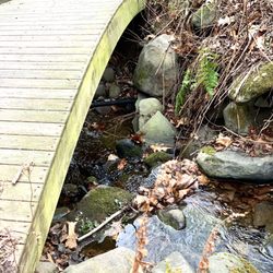 Catskill Mountain - 'The Bridge Is Over': (Catskill Forest Preserve)