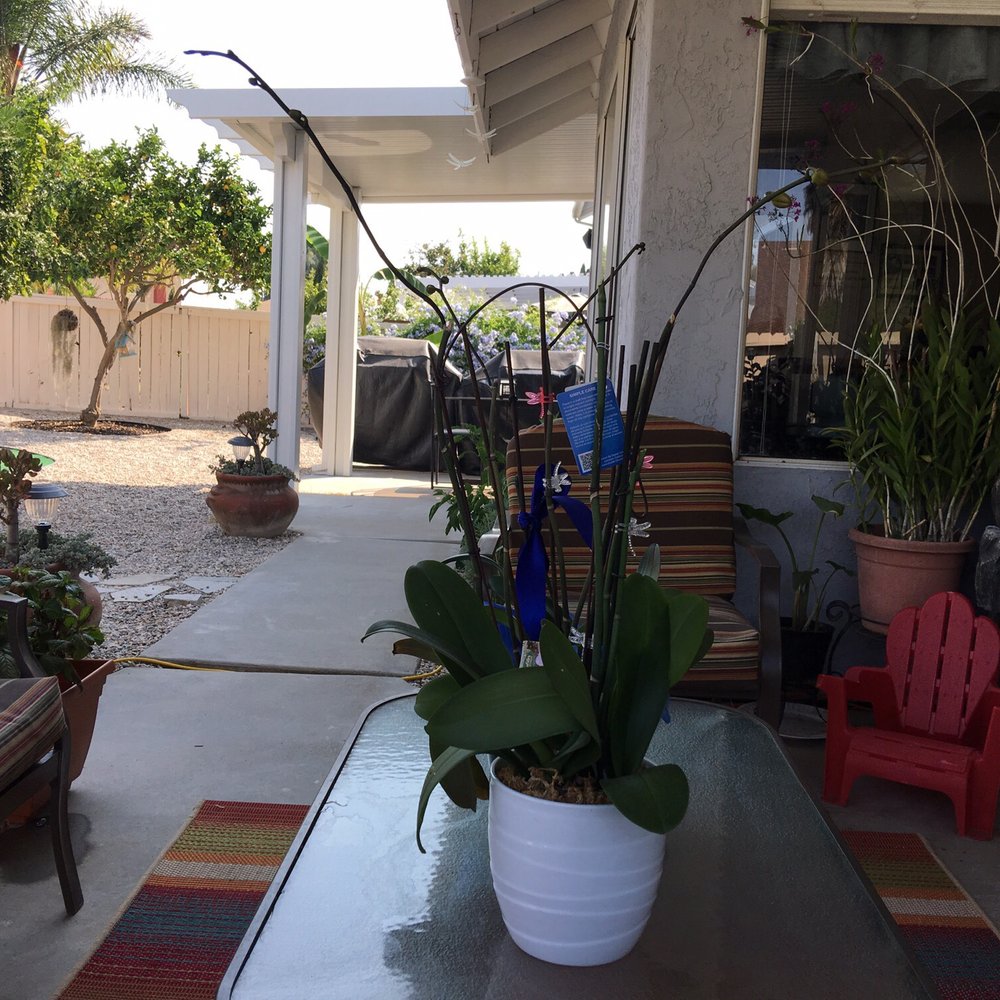 Hardy Built - Love our patio covers - General Contractors Near Me