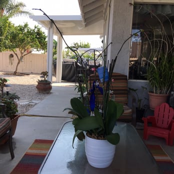 Hardy Built - Love our patio covers - General Contractors Near Me Hardy Built - Love our patio covers - General Contractors Near Me