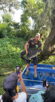 Gators and Ghosts: New Orleans Tours by null