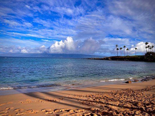 Kapalua Bay Beach by null