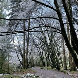 Torc Waterfall - Path