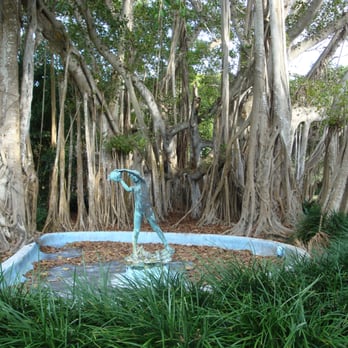 The Ringling - cool trees - Art Museums Near Me - Sarasota, Florida The Ringling - cool trees - Art Museums Near Me - Sarasota, Florida