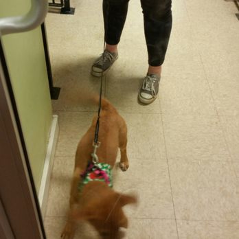 Mutts & Co - Tail wag as a happy customer - Pet Stores Near Me - Dublin, Ohio
