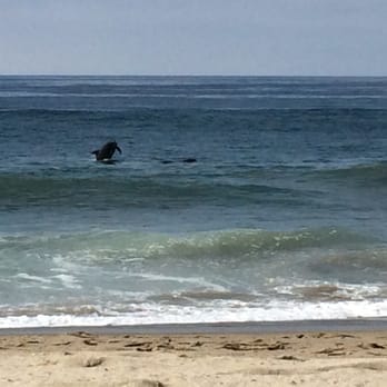 Westward Beach - Beaches Near Me - Malibu, California
