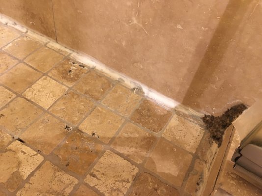 Hôtel Brossard by null